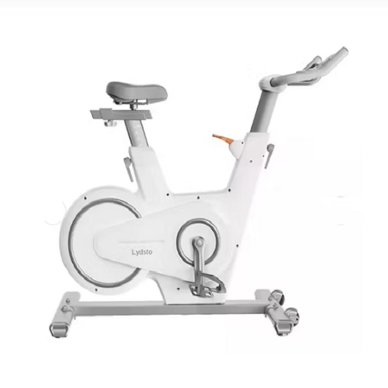 Lydsto Spinning Bike Exercise Bike S1-4 Lydsto Spinning Bike Exercise Bike S1-4